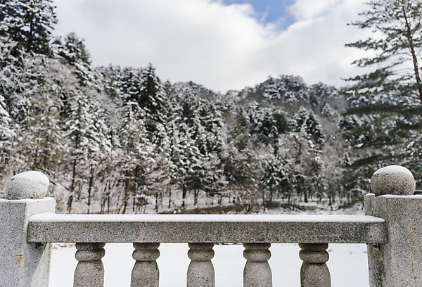 사람없음 JPG 포토 강원도 겨울 겨울풍경 계절 나무 눈(날씨) 다리(건축물) 불교 사찰 설경 숲 야외 월정사 주간 평창 풍경(경치) 한국