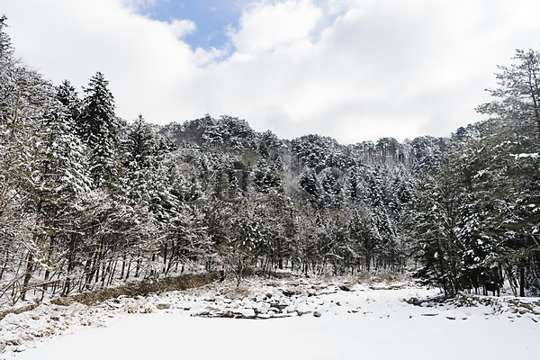 사람없음 JPG 포토 강원도 겨울 겨울풍경 계절 구름(자연) 나무 눈(날씨) 눈꽃 눈덮임 산 설경 숲 야외 주간 평창 풍경(경치) 하늘 한국