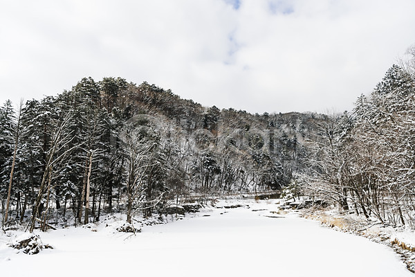 사람없음 JPG 포토 강원도 겨울 겨울풍경 계절 길 나무 눈(날씨) 눈덮임 산 설경 숲 야외 주간 평창 풍경(경치) 한국