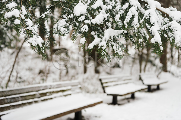 사람없음 JPG 아웃포커스 포토 강원도 겨울 겨울풍경 계절 나무 눈(날씨) 눈꽃 벤치 산 설경 숲 야외 주간 평창 풍경(경치) 한국