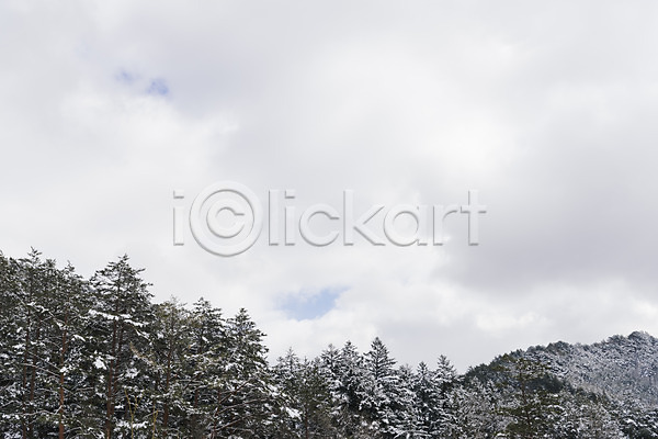 사람없음 JPG 포토 강원도 겨울 겨울풍경 계절 구름(자연) 나무 눈(날씨) 산 설경 숲 야외 주간 평창 풍경(경치) 하늘 한국