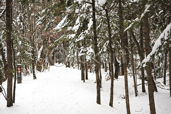 사람없음 JPG 포토 강원도 겨울 겨울풍경 계절 나무 눈(날씨) 산 설경 숲 야외 주간 평창 풍경(경치) 한국