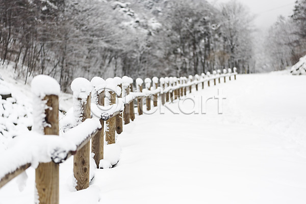 사람없음 JPG 포토 강원도 겨울 겨울풍경 계절 눈(날씨) 대관령 산 설경 야외 울타리 주간 풍경(경치) 한국