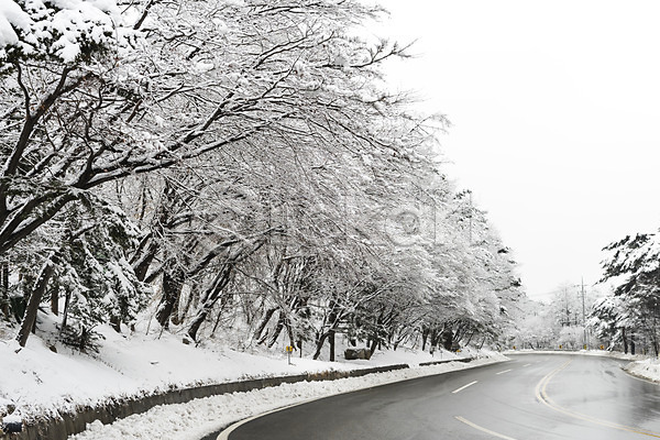 사람없음 JPG 포토 강원도 겨울 겨울풍경 계절 나무 눈(날씨) 눈꽃 대관령 도로 설경 야외 주간 풍경(경치) 한국