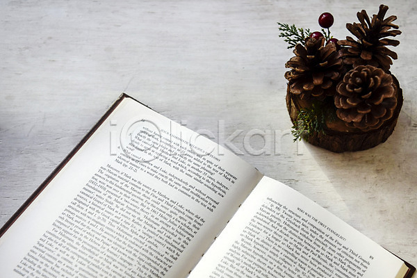 감성 사람없음 JPG 포토 겨울 독서 솔방울 스튜디오촬영 실내 인테리어 잎 장식 책 크리스마스 크리스마스용품
