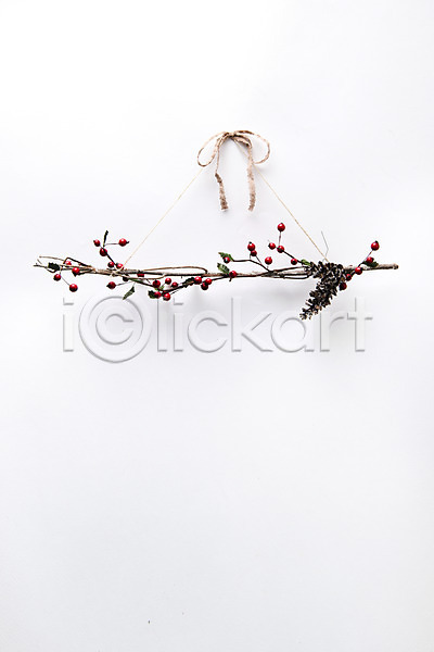 감성 사람없음 JPG 포토 나무 리본 백그라운드 빨간색 스튜디오촬영 실내 열매 인테리어 잎 장식 크리스마스 크리스마스용품 흰배경 흰색