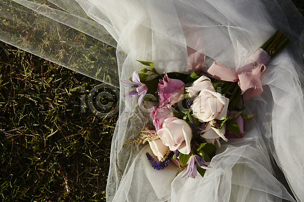 사람없음 JPG 근접촬영 포토 가을(계절) 결혼 꽃 면사포 부케 야외 올림픽공원 잔디 주간