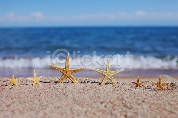 사람없음 JPG 포토 해외이미지 모래 불가사리 야외 여름(계절) 주간 파도 해변
