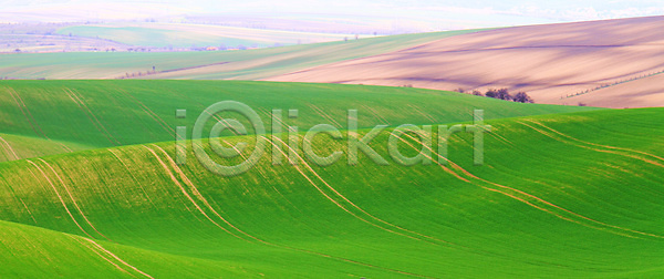 만족 사람 사람없음 JPG 포토 해외이미지 공화국 그림 그림자 나무 남쪽 놀람 맑음 모라비아 밭 벽지 봄 산책로 야생동물 야외 언덕 여름 여행 와인 유럽 자연 지역 체코 초록색 컬러풀 태양 토스카나 파노라마 풍경 해외포토 휴가