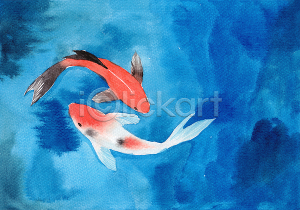 사람없음 JPG 포토 해외이미지 그림 두마리 비단잉어 수채화(물감) 하늘색