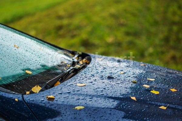 떨어짐 사람없음 JPG 아웃포커스 포토 해외이미지 낙엽 물방울 비(날씨) 빗방울 야외 은행잎 자동차 주간 풍경(경치)