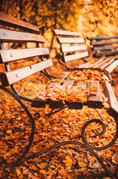 사람없음 JPG 포토 해외이미지 가을(계절) 낙엽 단풍 백그라운드 벤치 야외 풍경(경치)