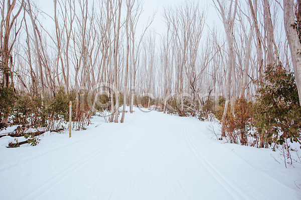 추위 침묵 사람없음 JPG 포토 해외이미지 겨울 계절 날씨 산 선로 설피 스키 안개 자국 자연 장면 풍경(경치) 하이킹 호주 흰색