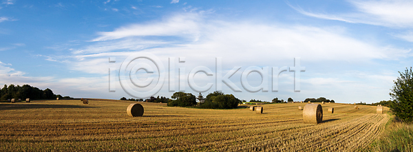 사람없음 JPG 포토 해외이미지 가을 구름 낟알 노란색 농경지 농업 농작물 농장 덴마크 땅 롤 뭉치 밀 밀짚 밭 밭일 볏짚 보리 수확 시골 야외 여름 옥수수 원형 자르기 자연 태양 파노라마 풍경 하늘 해외포토 황금