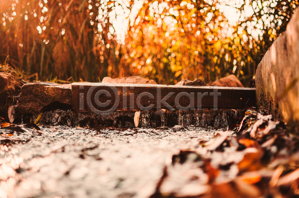 사람없음 JPG 아웃포커스 포토 해외이미지 가을(계절) 나무판자 낙엽 단풍 백그라운드 수로 풍경(경치) 햇빛