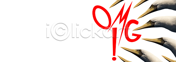 감탄 축하 흥분 사람없음 JPG 일러스트 템플릿 포토 해외이미지 고립 그래픽 깃털 놀람 단어 동물 디자인 머리 메시지 미술 배너 백그라운드 부리 비즈니스 빨간색 사인 신용카드 심볼 야생동물 오브젝트 왜가리 웹 응시 자연 장식 조류 추상 컨셉 텍스트 편지 해외일러스트 흰색