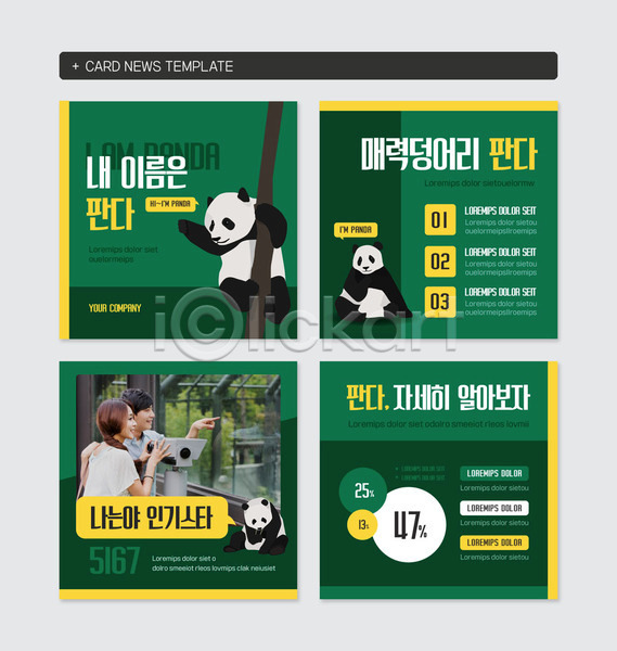 귀여움 20대 남자 두명 사람 성인 성인만 여자 한국인 PSD 웹템플릿 템플릿 가리킴 노란색 동물 동물원 미소(표정) 상반신 응시 초록색 카드뉴스 커플 판다