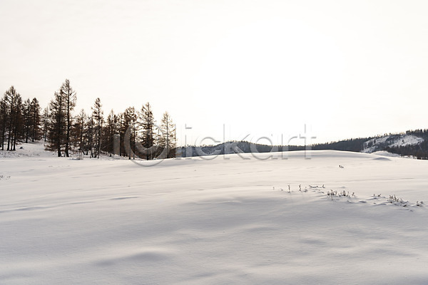사람없음 JPG 포토 겨울 겨울풍경 나무 눈(날씨) 몽골 설경 설원 야외 자연 주간 풍경(경치) 하늘 해외풍경
