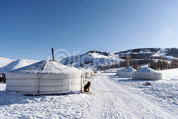 사람없음 JPG 포토 강아지 게르 겨울 겨울풍경 눈(날씨) 동물라이프 몽골 반려 산 설경 설원 야외 자연 주간 풍경(경치) 하늘 한마리 해외풍경