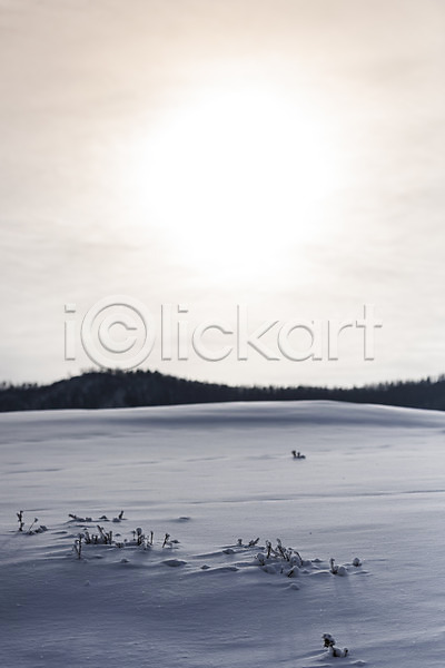 사람없음 JPG 포토 겨울 겨울풍경 노을 눈(날씨) 몽골 설경 설원 야외 자연 주간 풍경(경치) 하늘 해외풍경 햇빛