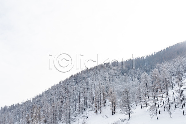 사람없음 JPG 포토 겨울 겨울풍경 나무 눈(날씨) 몽골 산 설경 설원 야외 자연 주간 풍경(경치) 하늘 해외풍경