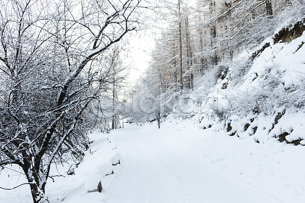 사람없음 JPG 포토 겨울 겨울풍경 나무 눈(날씨) 몽골 설경 설원 야외 자연 주간 풍경(경치) 해외풍경
