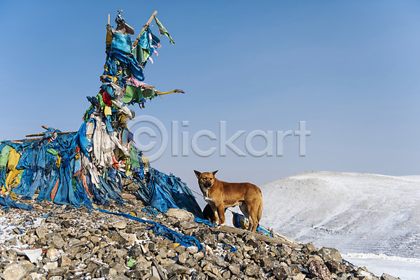 사람없음 JPG 포토 강아지 겨울 겨울풍경 깃발 눈(날씨) 동물라이프 몽골 문화 반려 산 설경 설원 야외 자연 전통 주간 풍경(경치) 하늘 한마리 해외풍경