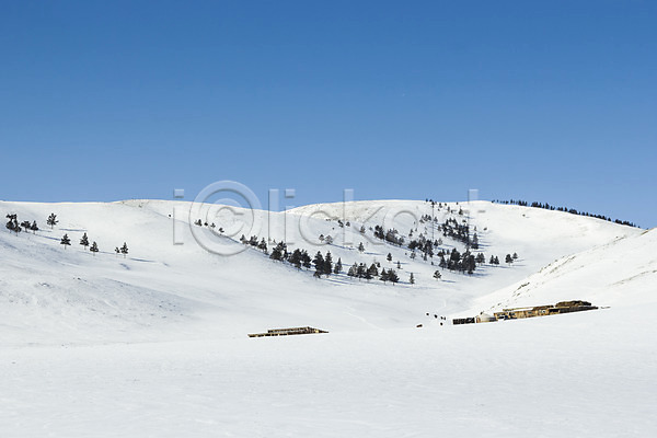 사람없음 JPG 포토 겨울 겨울풍경 나무 눈(날씨) 몽골 산 설경 설원 야외 자연 주간 파란색 하늘 해외풍경