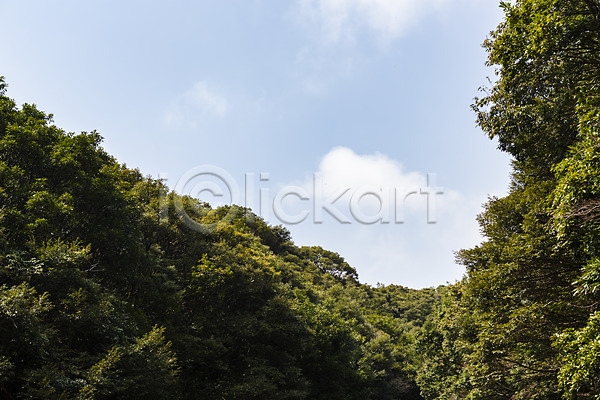 사람없음 JPG 포토 관광지 구름(자연) 나무 봄 봄여행 산 숲 야외 자연 제주도 주간 풍경(경치) 하늘