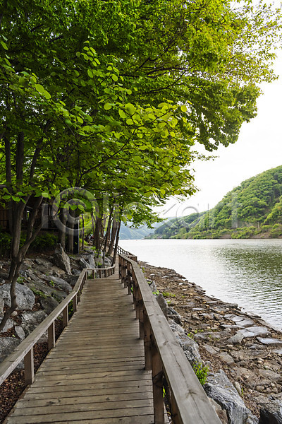 사람없음 JPG 포토 관광지 나무 남이섬 봄 봄여행 북한강 산책로 야외 자연 주간 풍경(경치)