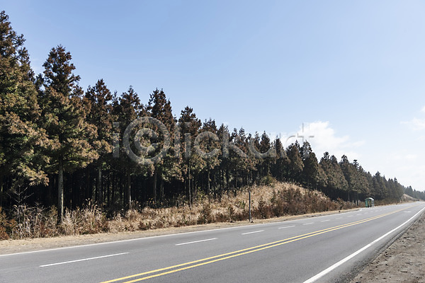 사람없음 JPG 포토 관광지 도로 봄 봄여행 사려니숲 야외 자연 주간 편백나무 풍경(경치)