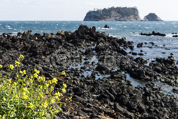 사람없음 JPG 포토 관광지 구름(자연) 돌(바위) 바다 봄 봄여행 야외 유채 자연 제주도 주간 풍경(경치) 하늘