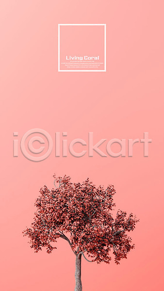 사람없음 3D PSD 디지털합성 편집이미지 공백 나무 단풍나무 리빙코랄 백그라운드 유행 컬러 패턴