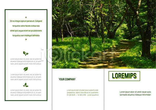 사람없음 AI(파일형식) 템플릿 3단접지 나무 나뭇잎 들풀 리플렛 북디자인 북커버 숲 숲속 오솔길 초록색 출판디자인 팜플렛 표지 표지디자인