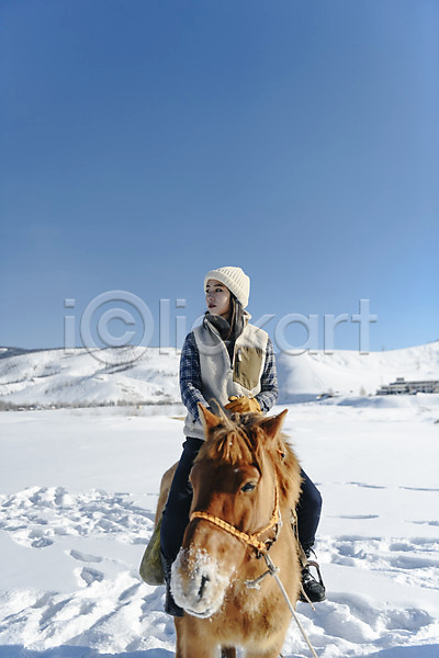 20대 사람 성인 성인여자한명만 여자 한국인 한명 JPG 앞모습 포토 겨울 고삐 눈(날씨) 말(동물) 몽골 산 설원 승마 앉기 야외 여행 응시 잡기 전신 주간 한마리
