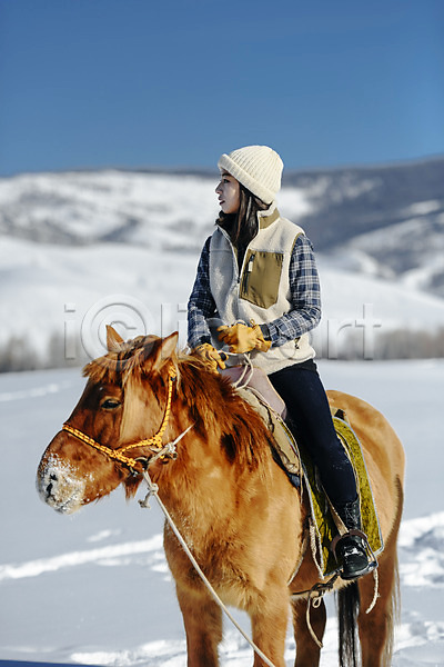 20대 사람 성인 성인여자한명만 여자 한국인 한명 JPG 앞모습 포토 겨울 고삐 눈(날씨) 말(동물) 몽골 산 설원 승마 앉기 야외 여행 응시 잡기 전신 주간 한마리