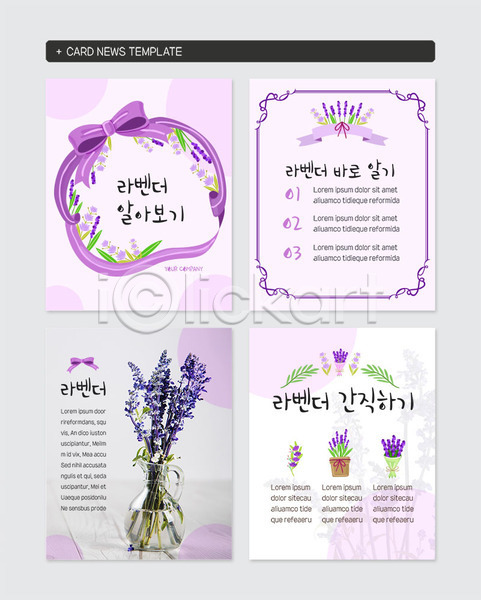사람없음 PSD 웹템플릿 템플릿 꽃다발 꽃병 라벤더 리본 보라색 식물키우기 정보 카드뉴스 화분