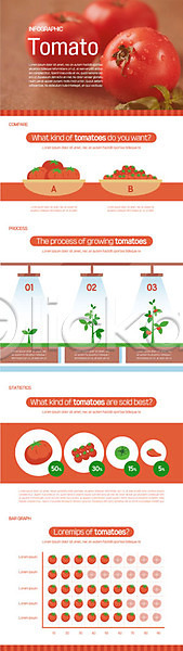 성장과정 함께함 사람없음 AI(파일형식) 일러스트 방울토마토 빨간색 음식 인포그래픽 토마토
