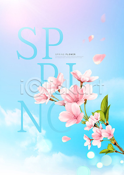 사람없음 PSD 편집이미지 구름(자연) 꽃 꽃잎 낙화 벚꽃 봄 카피스페이스 파란색 하늘