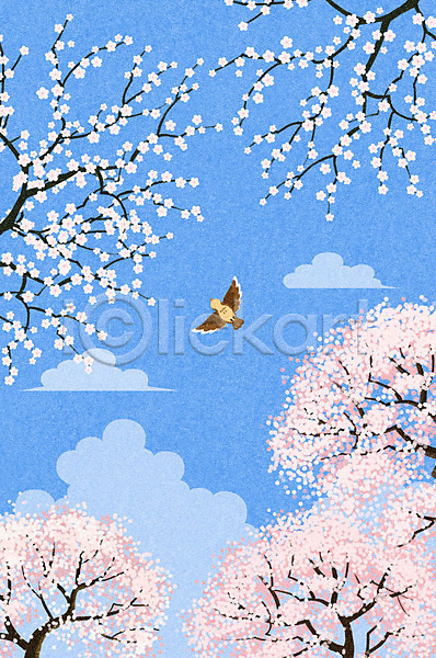 감성 사람없음 PSD 일러스트 백그라운드 벚꽃 벚나무 봄 봄배경 봄풍경 비행 자연 조류 하늘 한마리