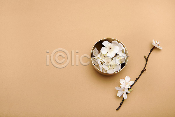 사람없음 JPG 포토 하이앵글 꽃 나뭇가지 놋그릇 누끼 명절 벚꽃 베이지색 베이지색배경 스튜디오촬영 실내 오브젝트 전통 전통그릇 플랫레이