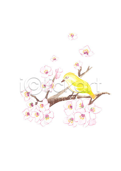 사람없음 PSD 일러스트 가을(계절) 꽃 꽃가지 나뭇가지 노란색 번짐 붓터치 수채화(물감) 조류 캘리그라피 한마리