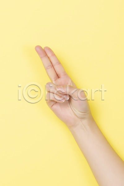 복지 소통 30대 사람 신체부위 JPG 포토 2 노란배경 누끼 손짓 수어(수화언어) 숫자 스튜디오촬영 실내 의사소통 지문자 청각장애인 커뮤니케이션