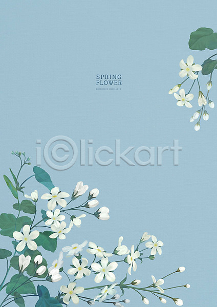 따뜻함 사람없음 PSD 일러스트 계절백그라운드 꽃 백그라운드 봄 봄맞이꽃 봄배경 카피스페이스 파란색 파스텔톤