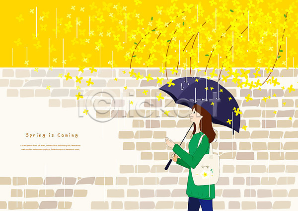 사람 성인 성인여자한명만 여자 한명 PSD 일러스트 개나리 걷기 노란색 담장 봄 봄풍경 비(날씨) 상반신 우산