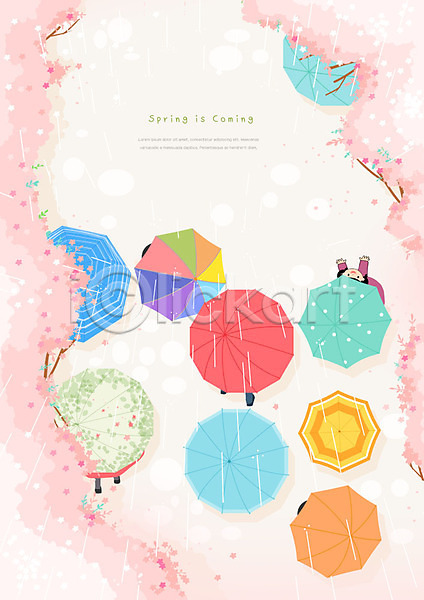 즐거움 남자 사람 어린이 여러명 여자 PSD 일러스트 하이앵글 걷기 벚꽃 봄 봄풍경 분홍색 비(날씨) 우산 컬러풀