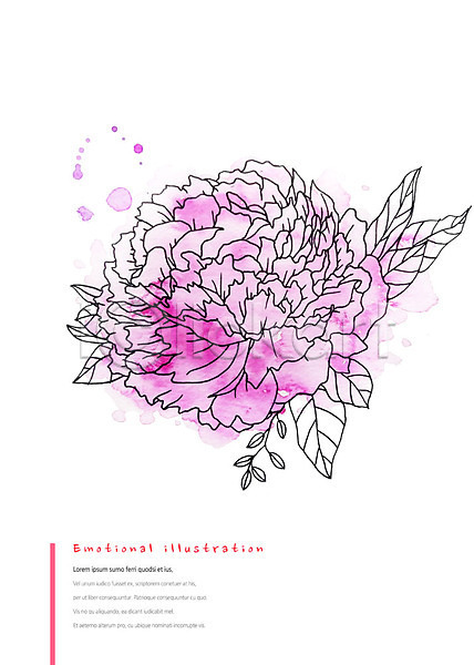 감성 따뜻함 화려 사람없음 PSD 일러스트 꽃 번짐 분홍색 붓터치 수채화(물감) 식물 카네이션 한송이