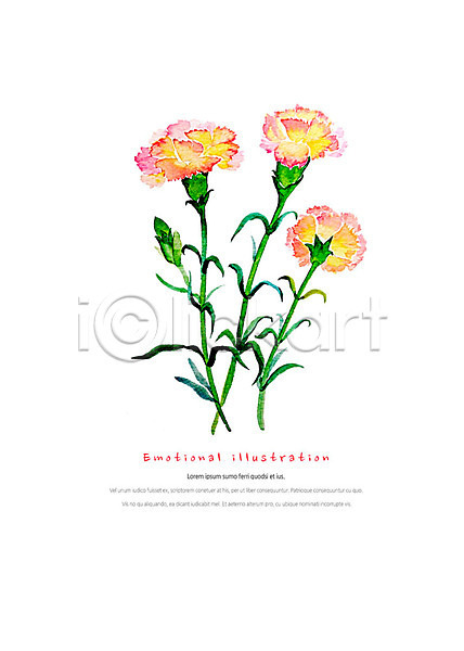 감성 따뜻함 화려 사람없음 PSD 일러스트 꽃 세송이 수채화(물감) 식물 카네이션