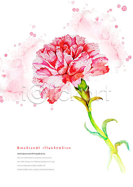 감성 따뜻함 화려 사람없음 PSD 일러스트 꽃 번짐 붓터치 빨간색 수채화(물감) 식물 카네이션 한송이