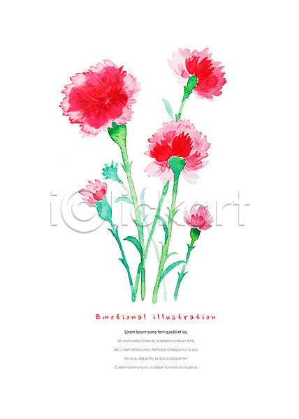 감성 따뜻함 화려 사람없음 PSD 일러스트 꽃 번짐 붓터치 빨간색 수채화(물감) 식물 여러송이 카네이션